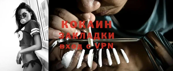 сатива Горнозаводск