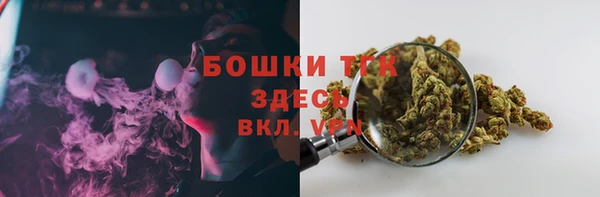 сатива Горнозаводск