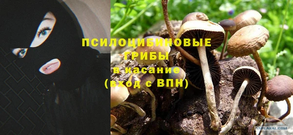 сатива Горнозаводск