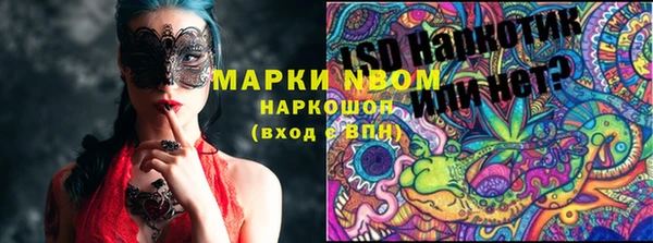 сатива Горнозаводск