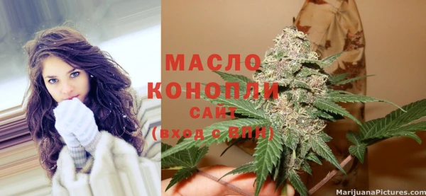 сатива Горнозаводск