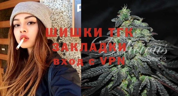 сатива Горнозаводск