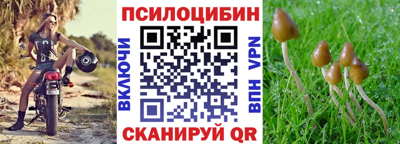 Псилоцибиновые грибы прущие грибы  Купить где  Медынь 